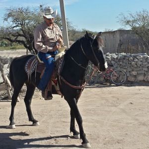 Meet your Posher, Alonzo